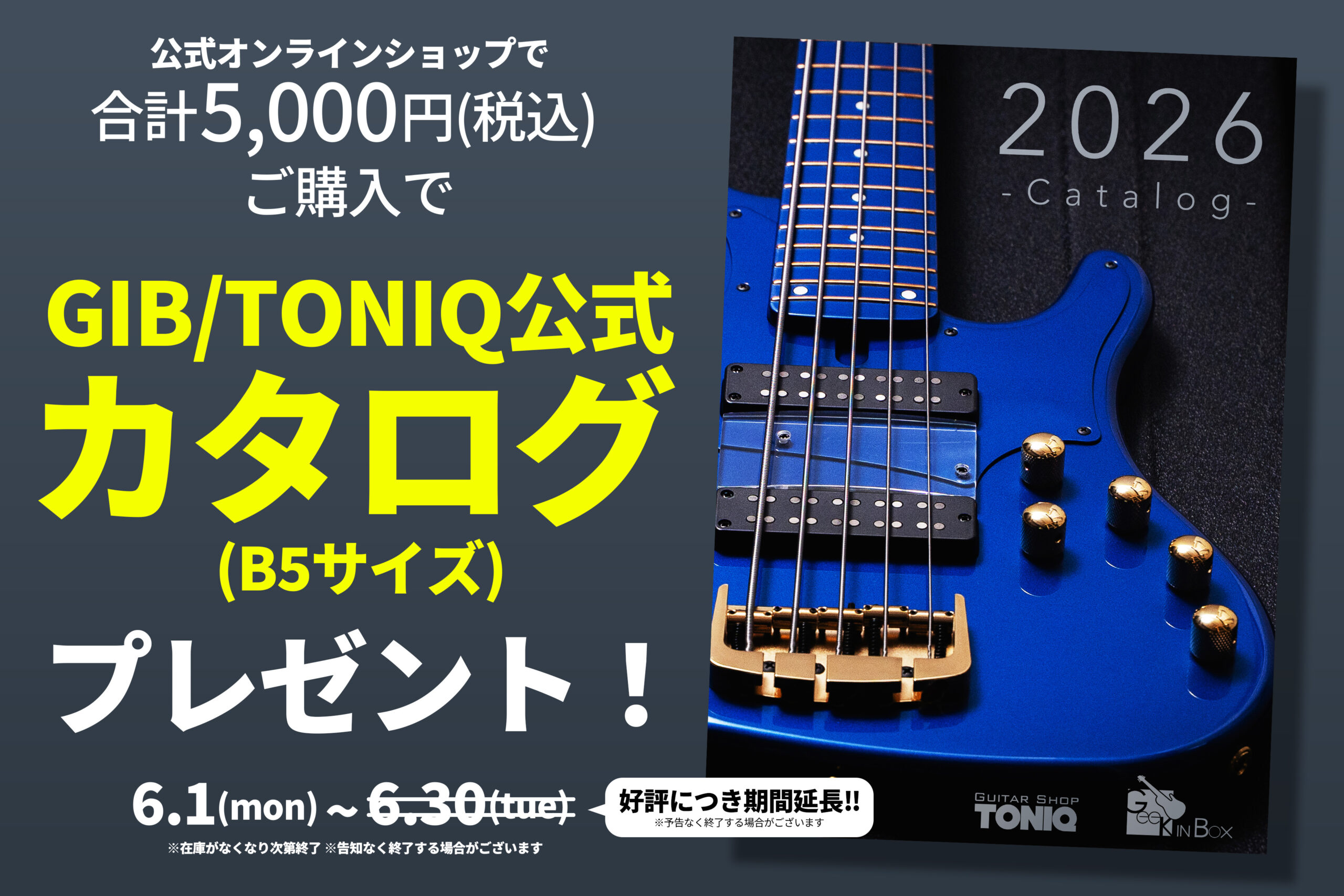 ストラトキャスター | Guitar Shop TONIQ